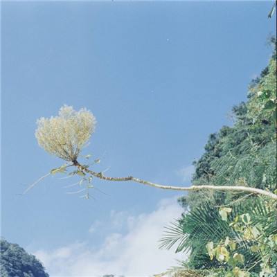 永恒纪元戒qq登录版下载